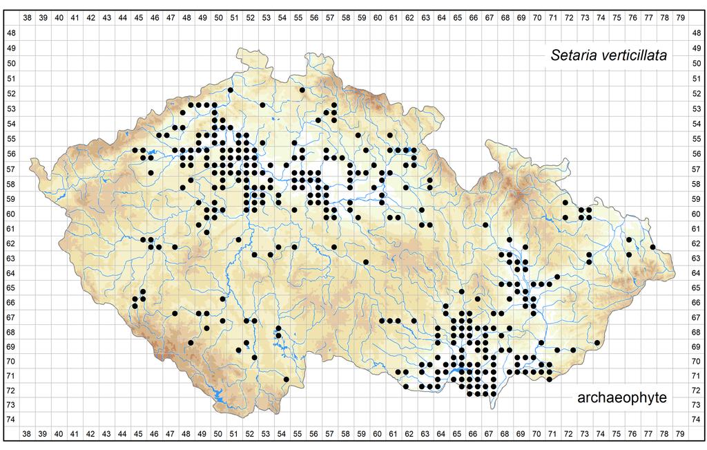 Distribution of Setaria verticillata in the Czech Republic Author of the map: Jindřich Chrtek Map produced on: 26-10-2018 Database records used for producing the distribution map of Setaria