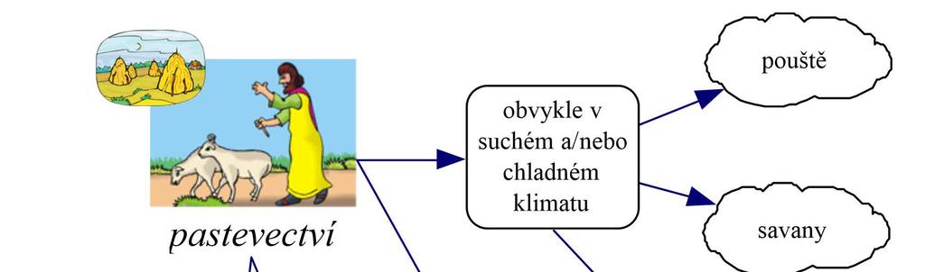 Textový obsah upraven podle Knox a Marston (2001, s.