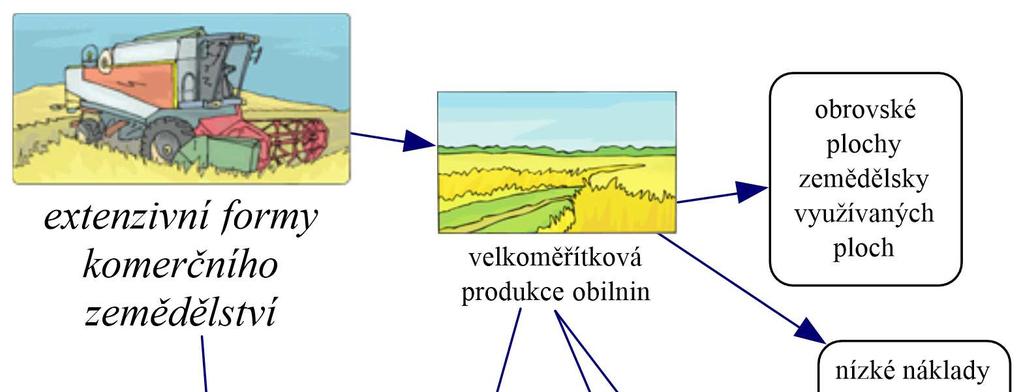 Myšlenková mapa Josef Navrátil, Stanislav Martinát