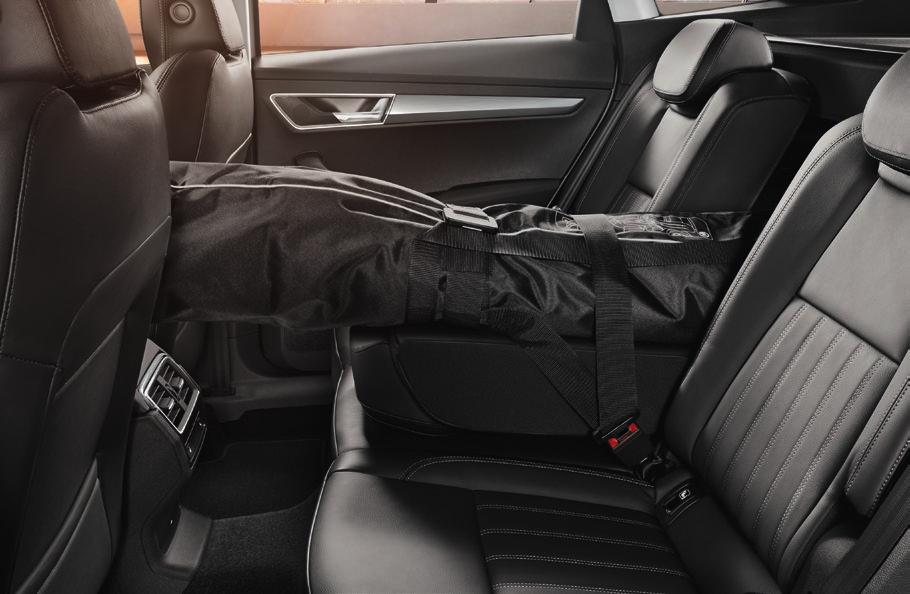 Simply Clever 31 UNIBAG Vyjímatelný vak unibag, určený k převážení dvou párů lyží nebo snowboardu, snadno