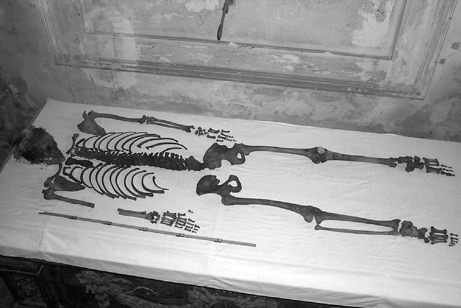 Obr. 47 Kosterní pozůstatky Josefa Františka Dietrichsteina po vyjmutí z rakve. štěrbin (vše Martin Knussmann 1988). K anatomickému popisu byla použita příručka Whitea a Foklense (White Folkens 1991).