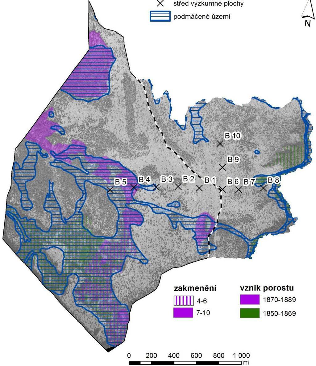 Příloha 10: Mapa podmáčených porostů (sjednocení edafických kategorií G, T a R) na podkladu leteckého snímku z roku 1962.