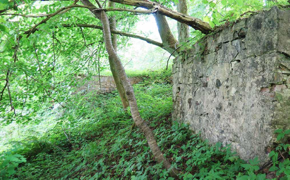 Závěr Náš dotazníkový průzkum vyvrátil hlavní hypotézu: ukázalo se, že respondenti se uprchlíků nebojí.