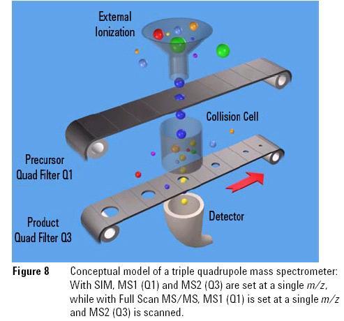 Triple Quadrupole Mods of MS: SCAN-full scan SIM-selected ion