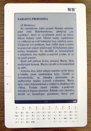 Nejběžnější značky e čteček: Amazon Kindle Sony Jinke Hanlin iriver Prestigio Libretto PocketBook Energy Sistem Sibrary Archos Barnes & Noble Nook Next Papyrus ereading Jak už bylo řečeno výše,