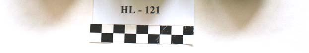 2. HL 121