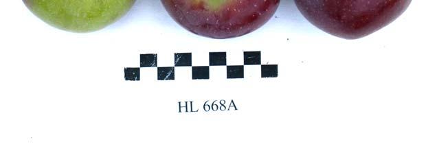 Obr. 21. HL 612A Obr. 23.