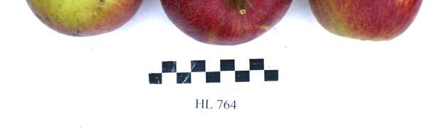 Obr. 25. HL 718 Obr. 27.