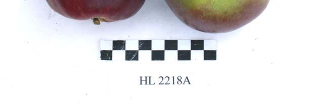 HL 2149 Obr.