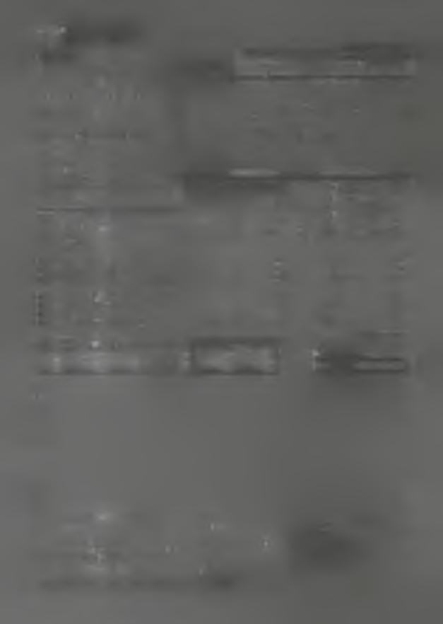 09.2017 Datum vystavení: 13.09.2017 Sleva Cena bez DPH Sazba Celkem s DPH Množství MJ % QPH v % Zel.směs Polévková jemná ČR 4x2,5kg Čínská směs ARDO 4x2,5kg, krt 10kg Zel.