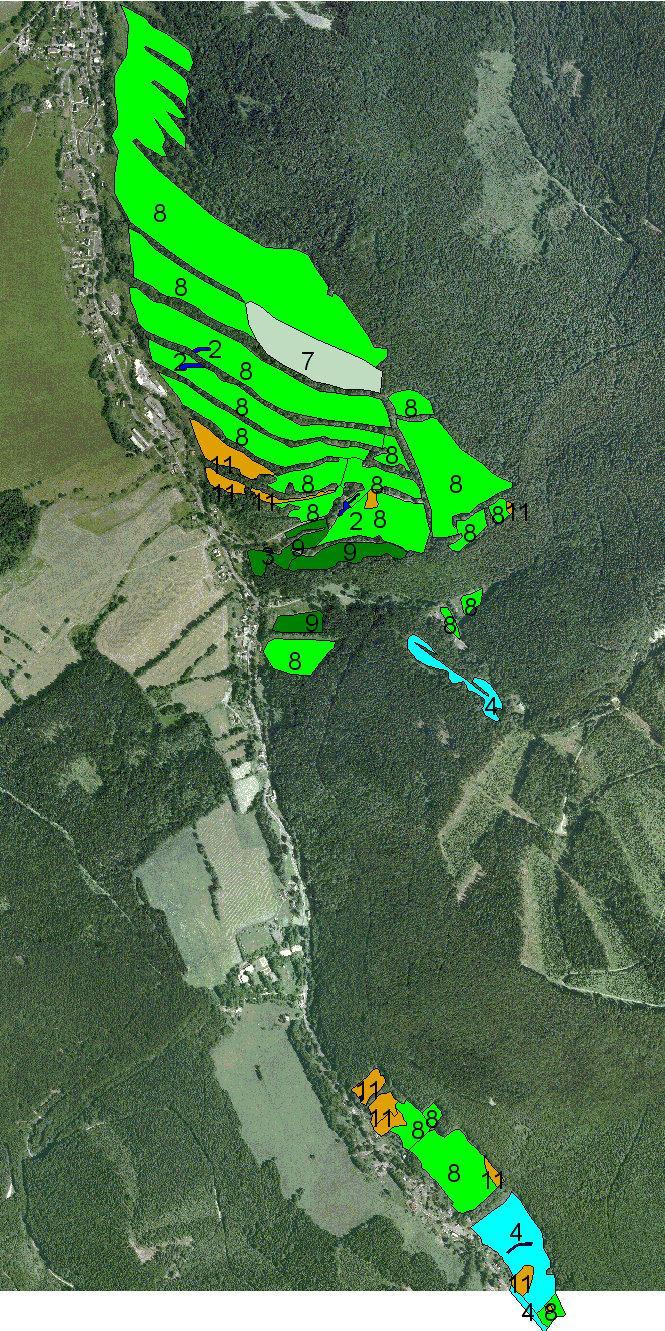 Obrázek 20: Mapa vegetačních typů Bělská stráň.