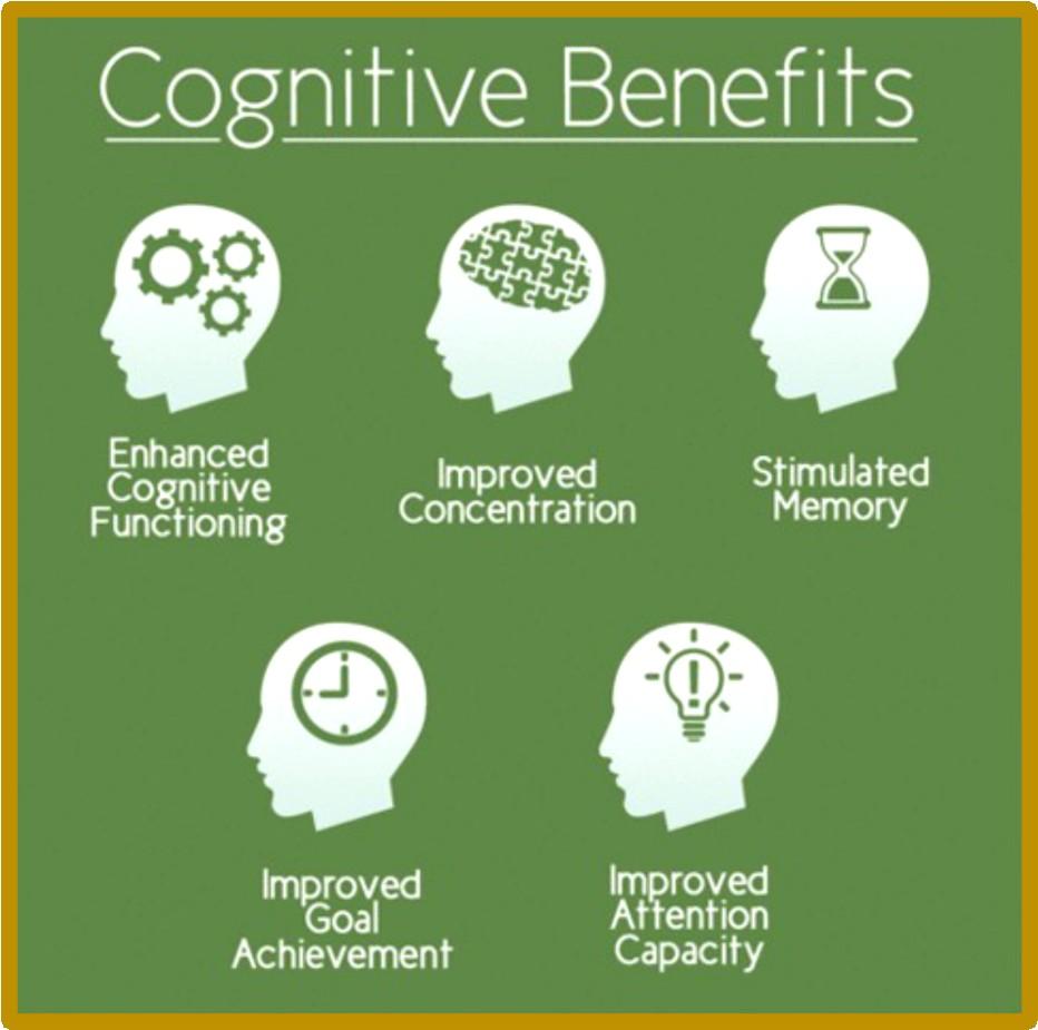Kognitivní oblast Trénování a zlepšování paměti Zlepšení či udržení koncentrace Rychlost zpracování informace