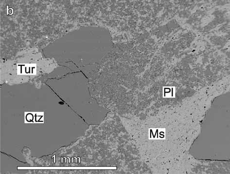 Některé horniny v plášti brněnského masivu jsou slabě metamorfované kyselé vulkanity (metaryolity).