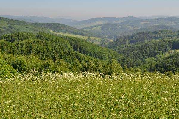 Plán péče pro přírodní památku SEMETÍN na období 2012 2021 Jiří Schneider Alice Kozumplíková Ivana Lampartová Miroslava Pazderová Újezd u Tišnova, 2011 Ing.