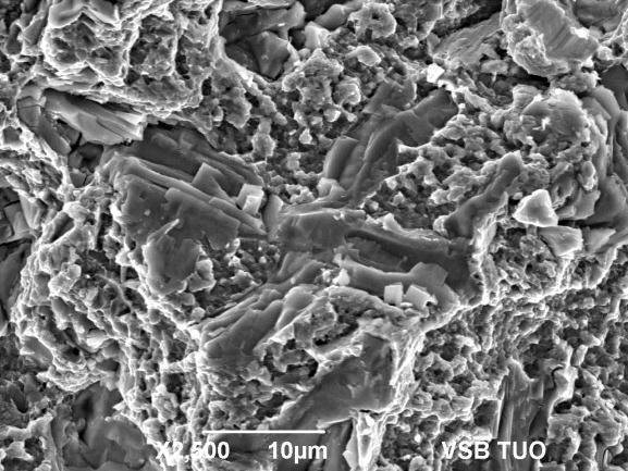 3 SEM microstructure of MC and M 23 C 6 carbide particles and