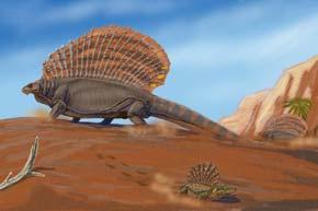 Therapsida 260 mya