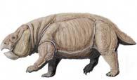 Archaeothyris 320 mya