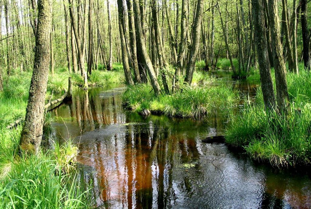 Modellregion Wümme