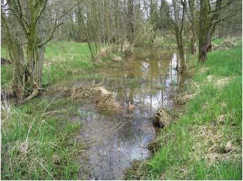 Výchozí