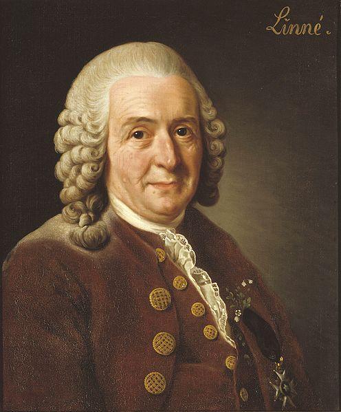 CARL VON LINNÉ Narodil se 23. května 1707 v Råshultu ve Švédsku a zemřel 10. ledna 1778 v Uppsala.