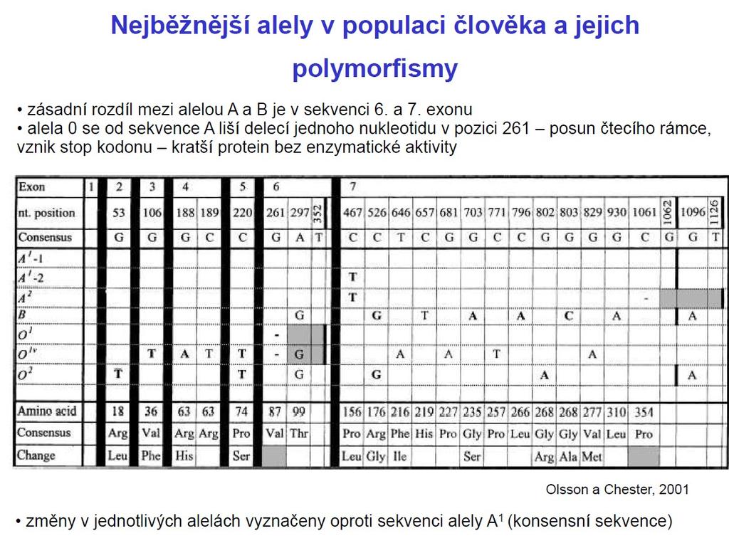 Tvorba enzymu glykosyltransferáza AB0 gen leží na dlouhém raménku 9. chromozomu (9q34) a skládá se ze 7 exonů a 6 intronů.