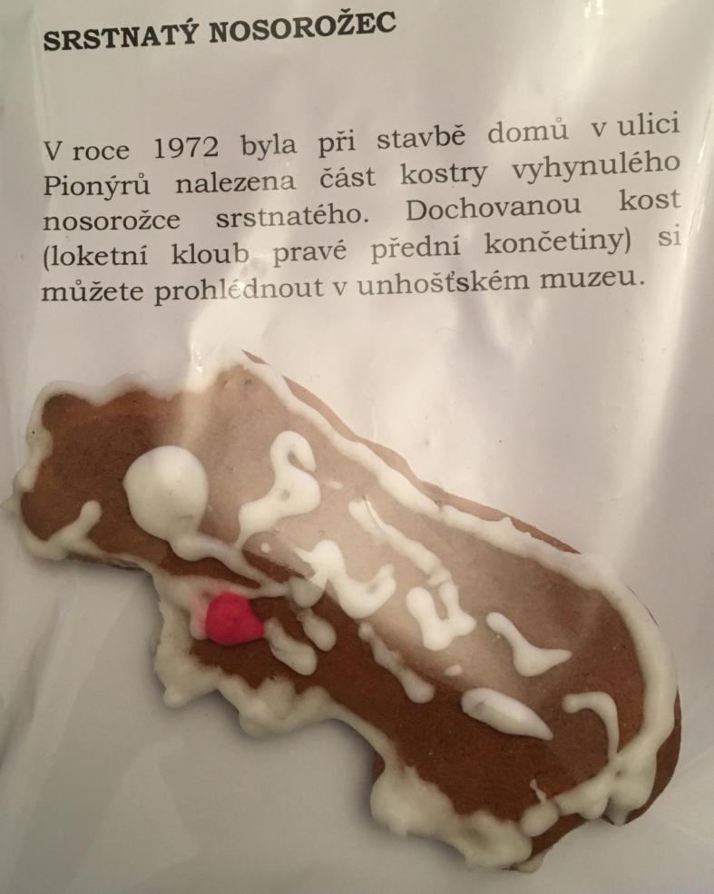 Pískování aneb Hry v písku si vyzkoušely různé ročníky napříč naší školou. V pátek 23.11.2018 jsme vyrazili na Strahov, kam se děti velmi těšily!