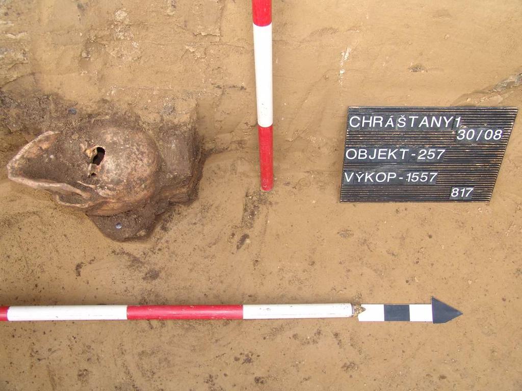 61 8.3 Chrášťany, č. objektu 257, č. pohřbu 817 Ve výplni jámy byla nalezena pouze lebka dospělého muže s prvním krčním obratlem v aspektu norma basilaris (Obr. 14).