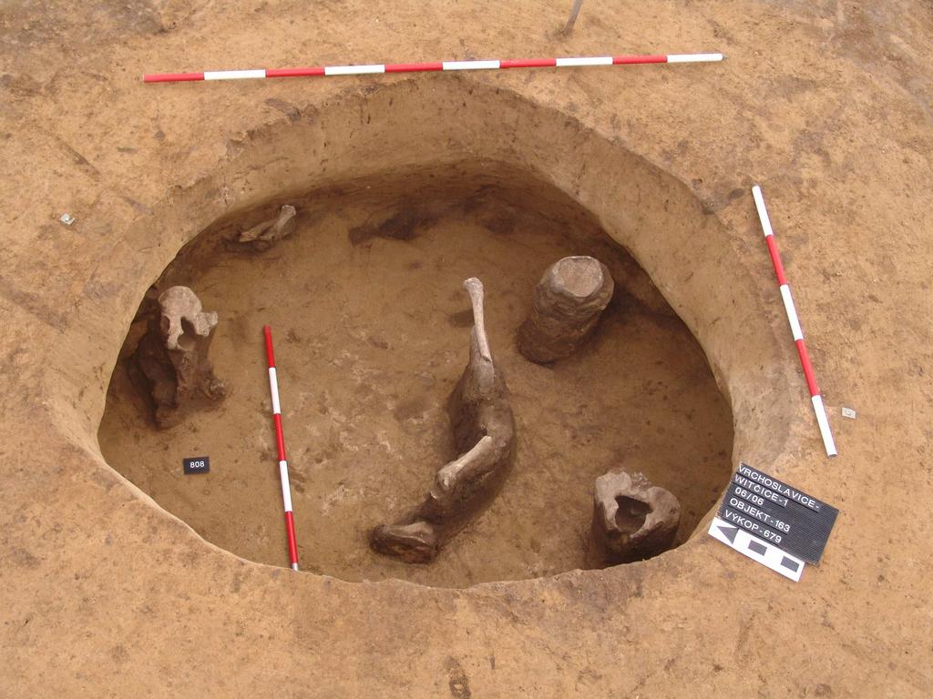 65 kategorie adultus/senilis. Nález pochází ze starší doby bronzové. Součástí hrobového inventáře byly zvířecí kosti (Pankowská, 2006). Obr. 16 Lokalita Vrchoslavice Vitčice 1, objekt č.