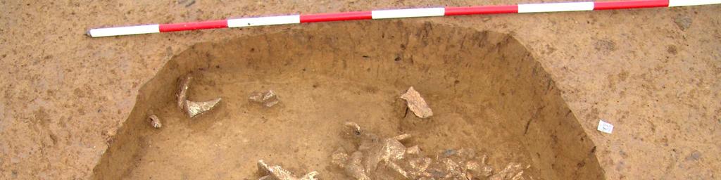 74 8.11 Křenovice 2, č. objektu 63 Ve výplni objektu bylo nalezeno větší množství disartikulovaných kostí.
