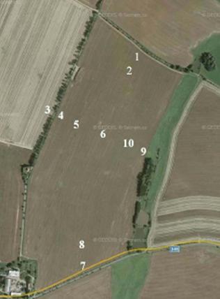 Výskyt kříska polního v průhledných miskách, na různých částech pole, jsme sledovali na modelovém polním pozemku na lokalitě Habry na Vysočině (Obr. 6) širokém 500 m a dlouhém 1 000 m.