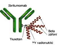 Nekojugované MAbs - Rituximab (MabThera ) - chimérická působící proti povrchovému antigenu (CD20) exprimovaný na více než 90% B lymfocytů u Nonhodgkinského lymfomu (maligní onemocnění vzniklé