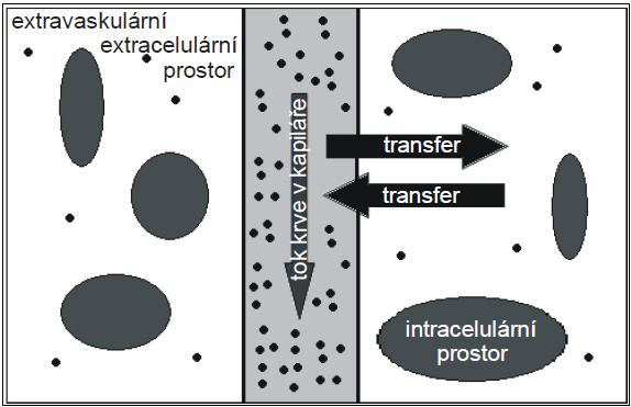 prostoru (EES, ve), objem krve (vb), apod., jak ukazuje Obr. 1.6. Protože jde o kvantitativní analýzu, parametry mají jednotky a konkrétní hodnoty. Obr. 1.6 - Mapy perfúzních parametrů 1.