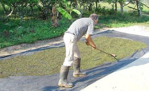 Chybějící technologie pro sklizeň a zpracování zemědělské produkce a následné problémy s dopravou mají za následek 10% až 40% ztráty při produkci potravin v