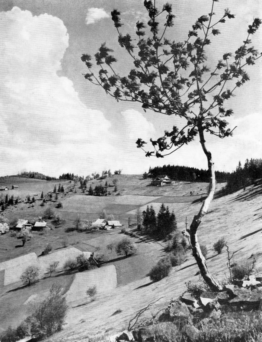 Žofie Minářová (1914 2000) jako jedna z posledních starousedlíků na hornobečvanských Kyvňačkách na přelomu let 1989 1990 napsala působivé vzpomínkové ohlédnutí za životem vlastní rodiny v letech 1934