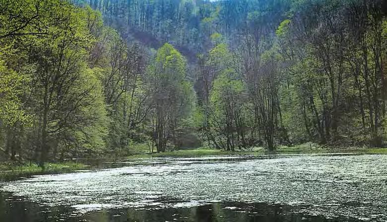 drugim institucijama, a osobito s Ministarstvom zaštite okoliša i prostornog ureðenja i s drugim tijelima državne te lokalne uprave i samouprave, na èijem se podruèju prostire Park prirode.