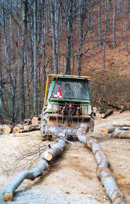 PRIRODNO SUŠENJE PROSTORNOG DRVA Tablice primjenjive u šumarskoj praksi Meðu istraživanim vrstama najsporije gubljenje volumne mase pokazuje hrast kitnjak a najbrže bijela topola Zbog vremenskog