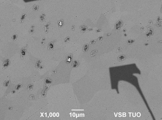 37: Ag Sn Zn Fig. 4 Metallography, EDX and DTA analyses of the sample No. 37: Ag Sn Zn Složení slitiny 37 odpovídá bodu E 1 (obr. 3), tj.