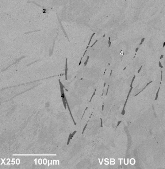 8 Metallography and EDX analyses of the Ag Al Sn alloy (sample No. 44) vz. 44 Al [at.%] Ag [at.%] Sn [at.