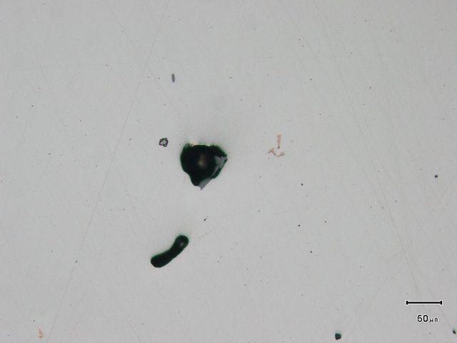 36 a Obr. 2.37) je porovnatelný s charakterem struktury vyskytující se u vzorku A. 2.6.3 Vzorek C Fotografie neleptaného metalografického výbrusu vzorku C: Obr.