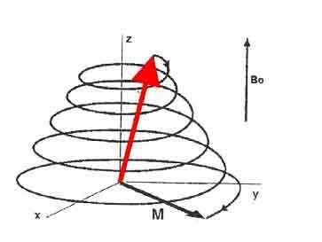 RF impuls vytváří magnetické pole B 1, které se pohybuje s Larmorovou frekvencí ve stejném směru jako precedující protony a svým působením je všechny přivede do fáze, čímž vznikne příčná složka