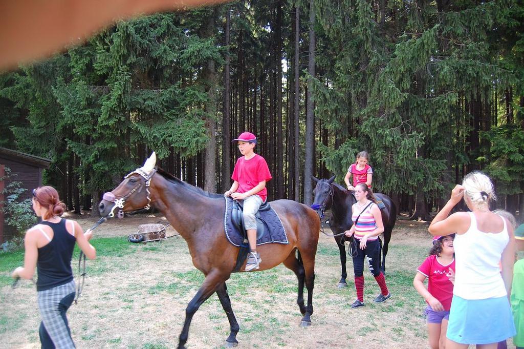 Tohoto tábora se zúčastnilo 55 dětí z celého Pardubického kraje a to ve věku 6 18 let.