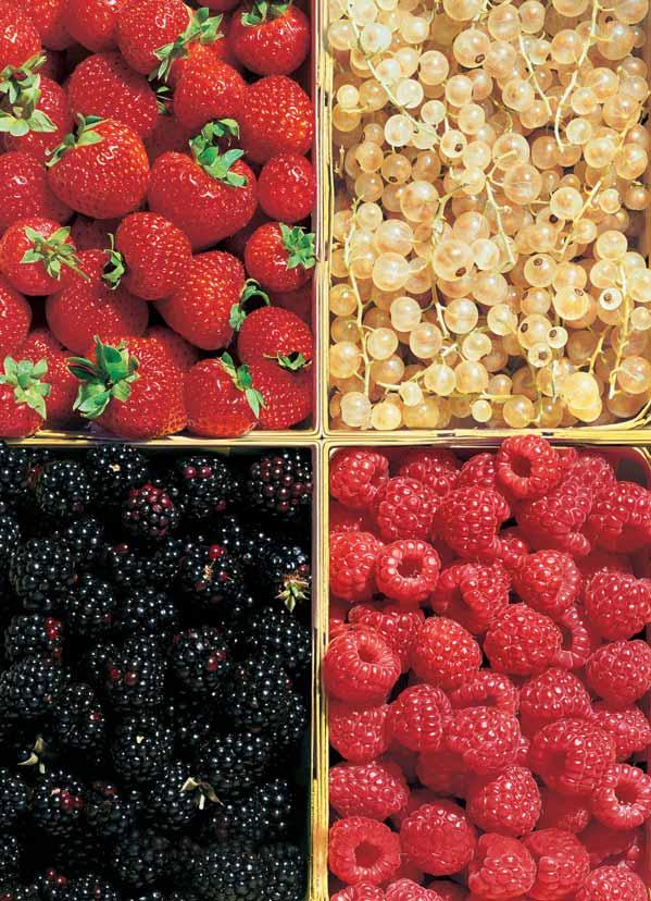 Vitamíny a minerály v ovoci a zeleninû Vitamíny ObsaÏeno v: Positivnû pûsobí na: Provitamín A ananas, mango, maracuja, meruàky, oãi, pleè, sliznici, rûst, meloun, mrkev, paprika, rajãe imunitu