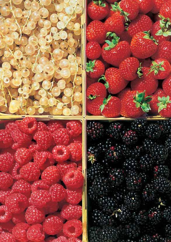 tkáà, maliny, kiwi, mango, maracuja, meloun, imunitu, pomeranã, citrony, paprika, rajãe celkov zdravotní stav Vitamín D kiwi, houby kosti, zuby Îelírování Vitamín E borûvky, maliny, mango, broskve