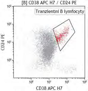 B lymfocyty tranzientní