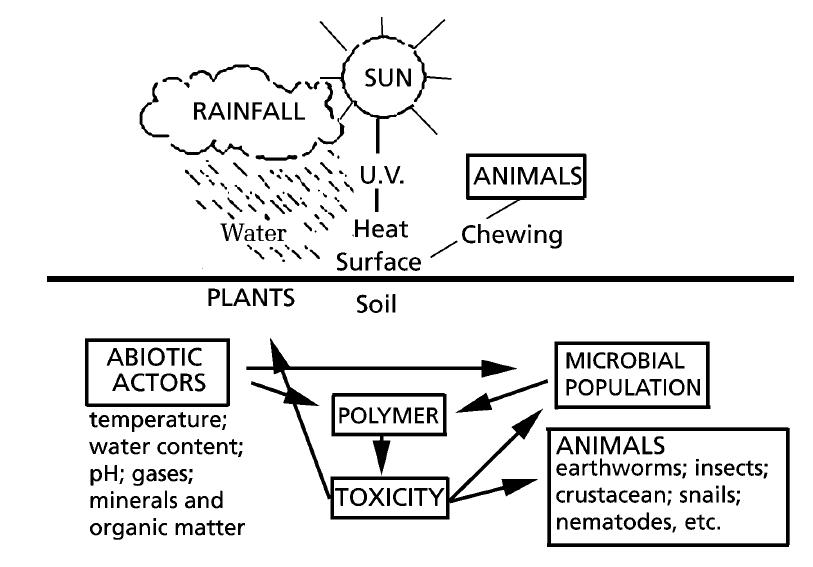 TBU in Zlín, Faculty of Technology 39 Figure 21 - Scheme of soil biodegradation [63] Agriculture, on the other hand, uses a conscious deposition of various types of a foil and other plastic products