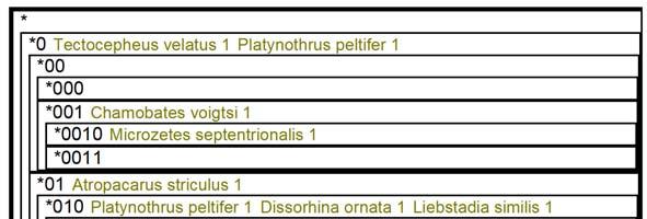 Obr. 7. Indikátory klasifikačních skupin TWINSPAN. Použité hodnoty cut-levels odpovídají počtu 0, 5 a 25 jedinců. smíšených s bukových lesů.