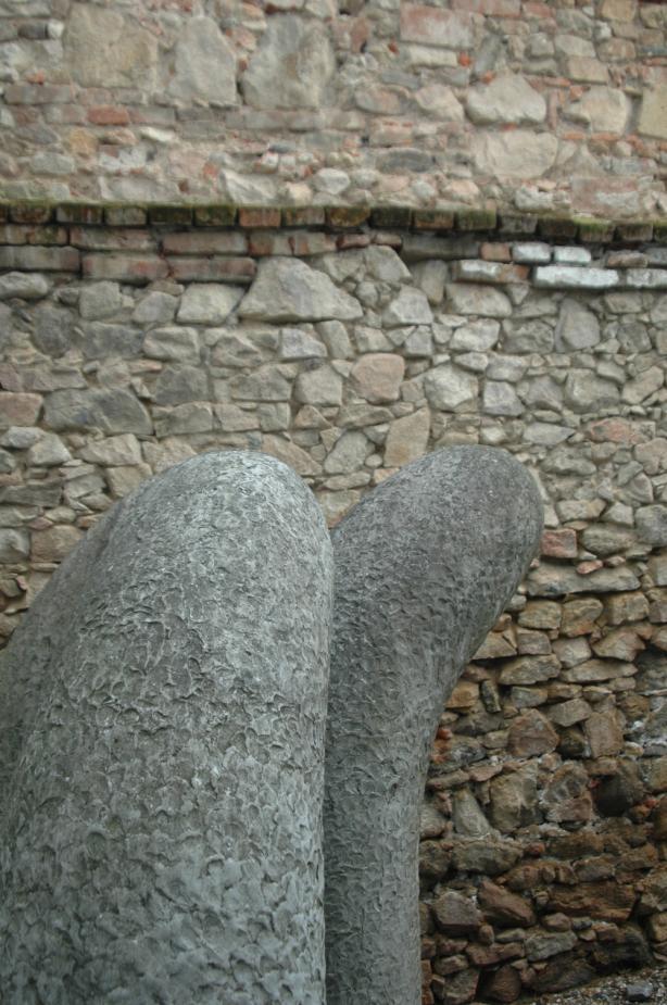 Velký a malý kráčející).