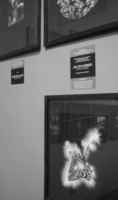 muzeum fotografie, jež začalo v 90.