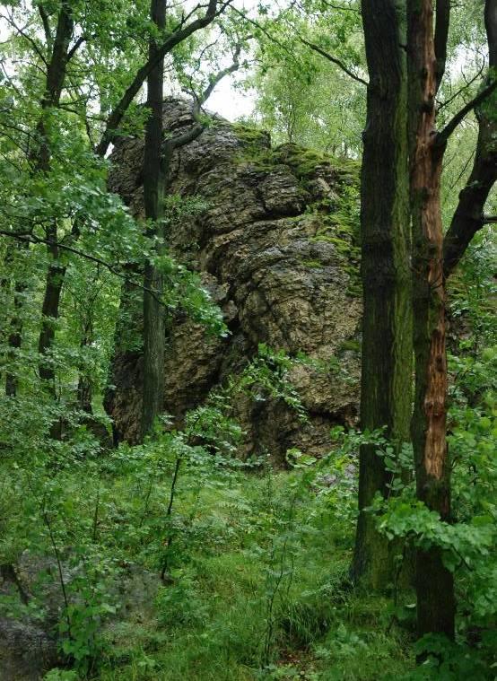 Plán péče o přírodní památku Bílá skála na období 2017