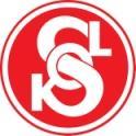 Návratka k zahajovací akci projektu SOKOL V LESE - LUČICE 6. - 8. 6.2014 T.J.